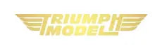 MODELO TRIUNFO