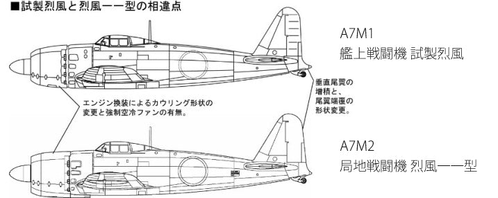 4536318720201-3.jpg
