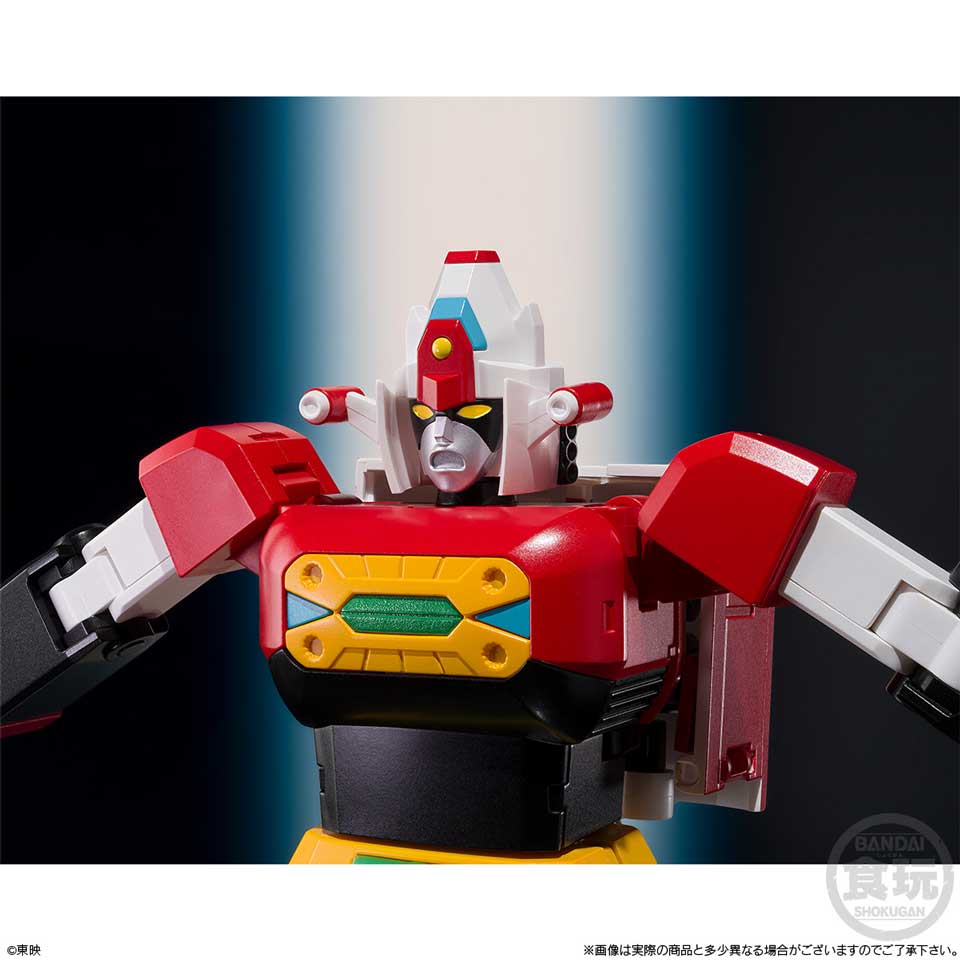4570117916090-6.jpg