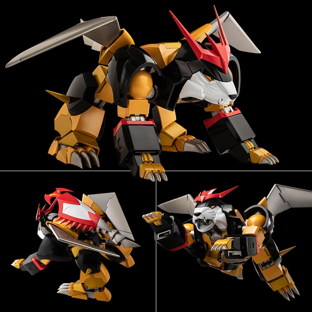 4571335887766-4.jpg