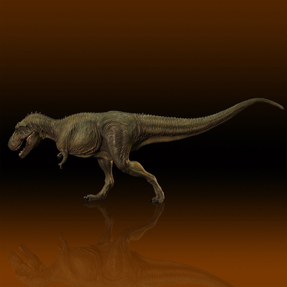 4571587310180-7.jpg