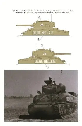 4571628257122-2