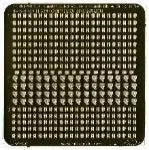 4571628262065-1