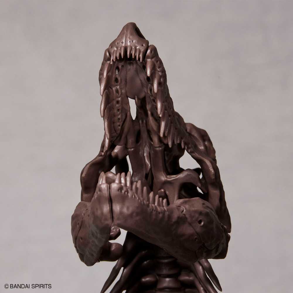4573102618009-9.jpg