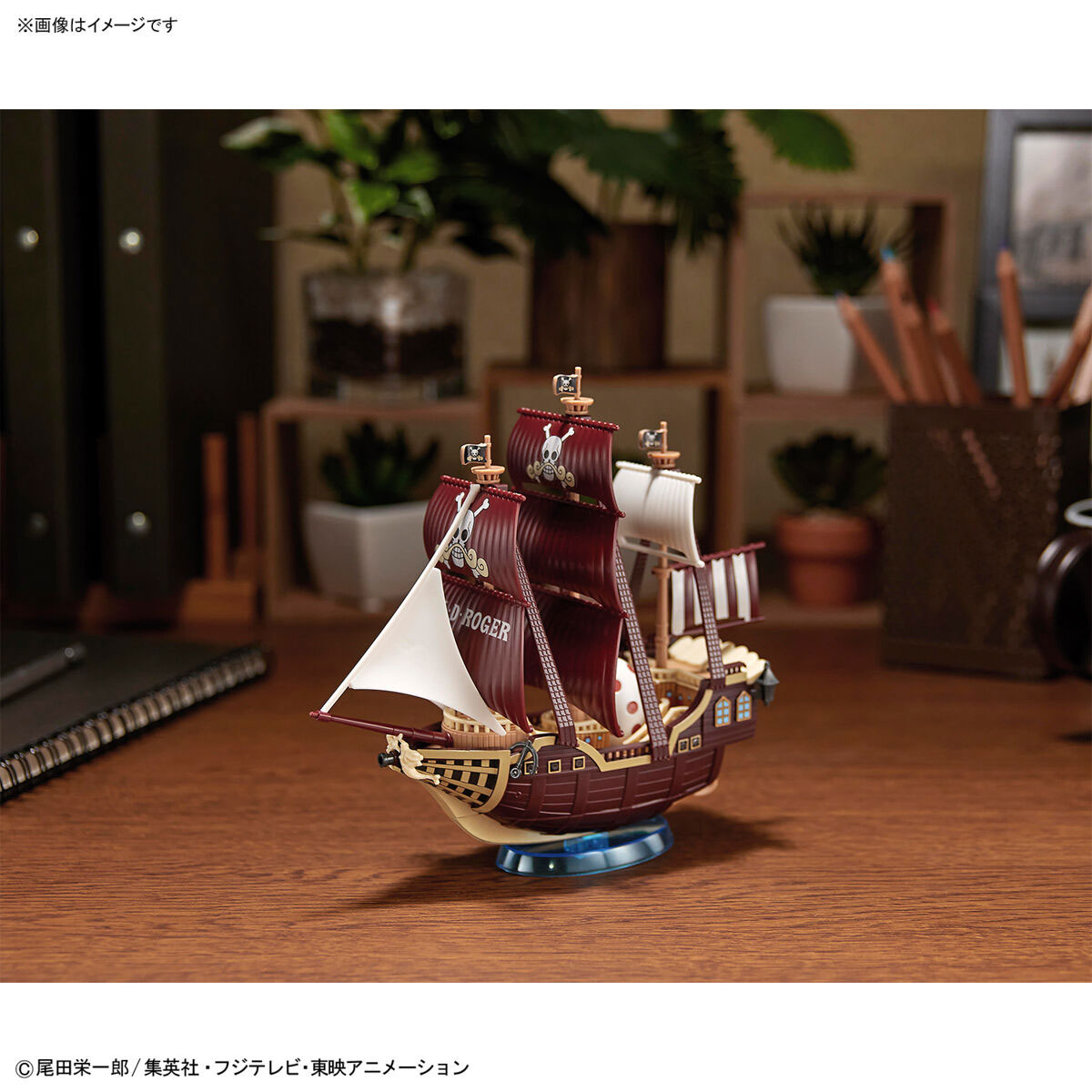 4573102640222-8.jpg