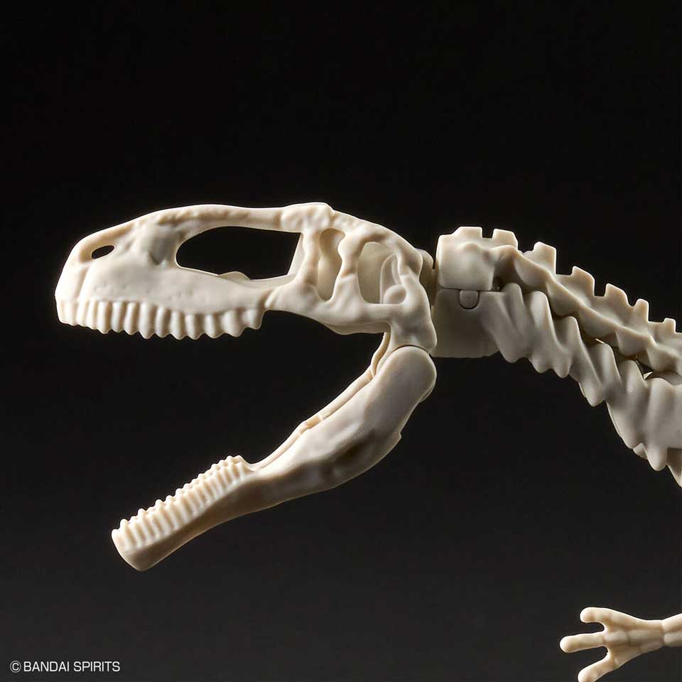 4573102663207-9.jpg