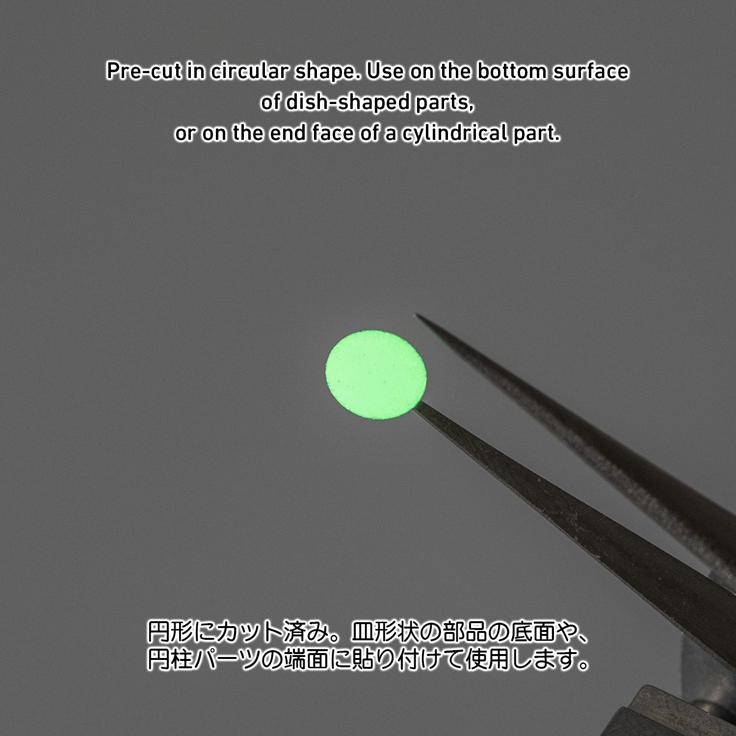 4573211375619-2.jpg