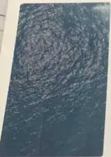4573517350655-2