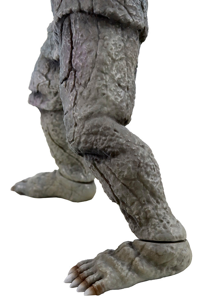 4580565640898-20.jpg