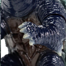 4580565641826-3.jpg