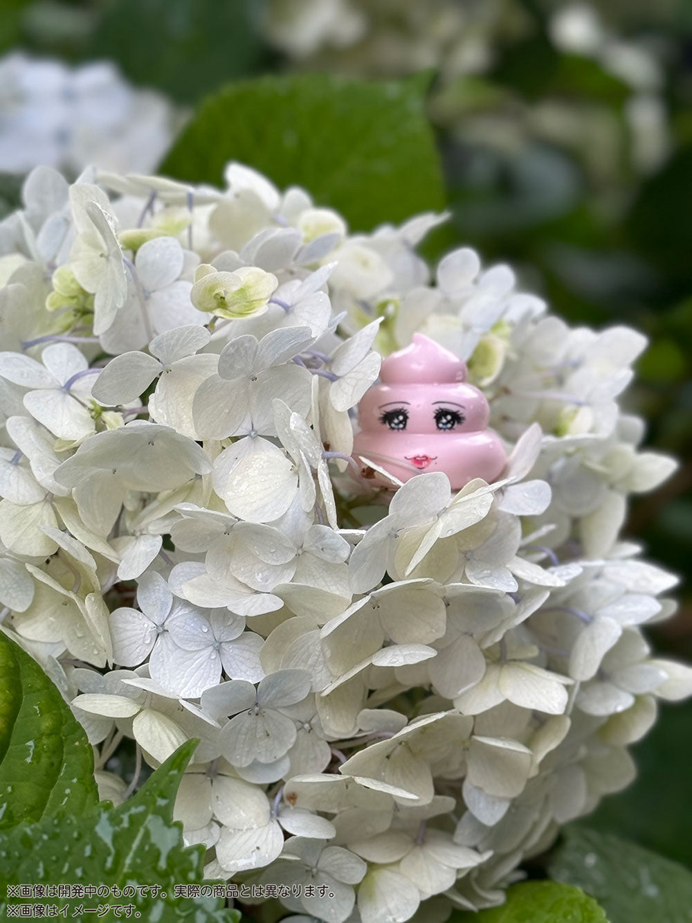 4580614271745-14.jpg