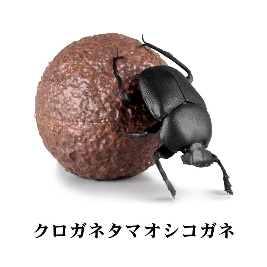 4582361785162-3.jpg