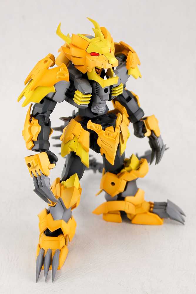 4582362382193-14.jpg