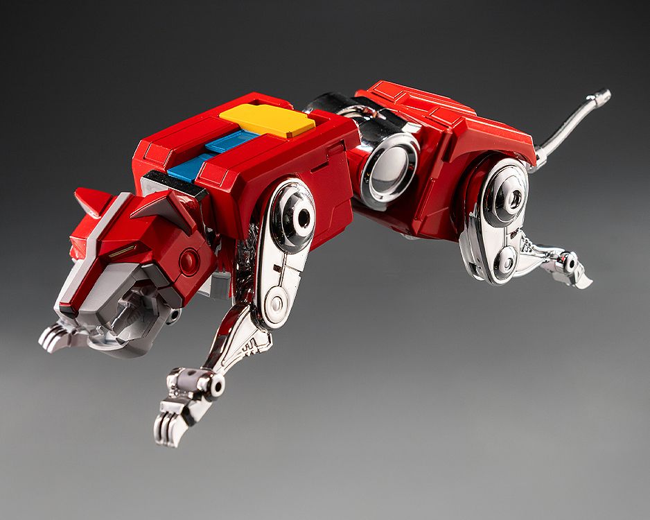 4595055216651-6.jpg