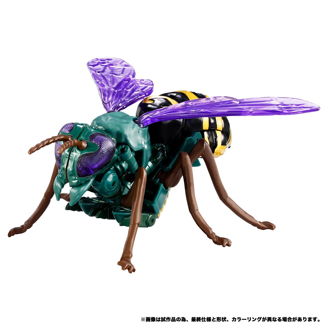 4904810934738-5.jpg
