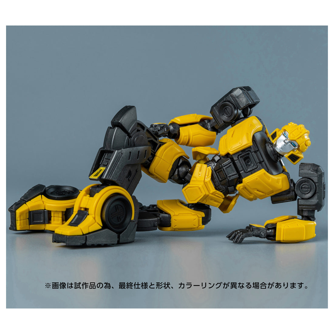 4904810959977-6.jpg