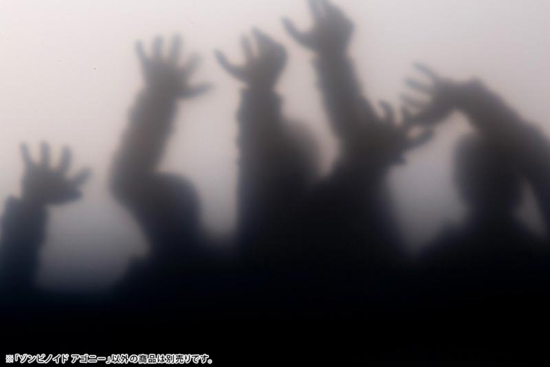 4934054017218-15.jpg