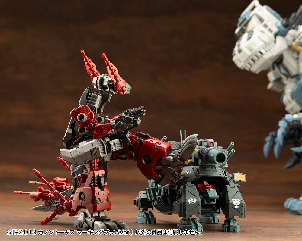 4934054070589-15.jpg