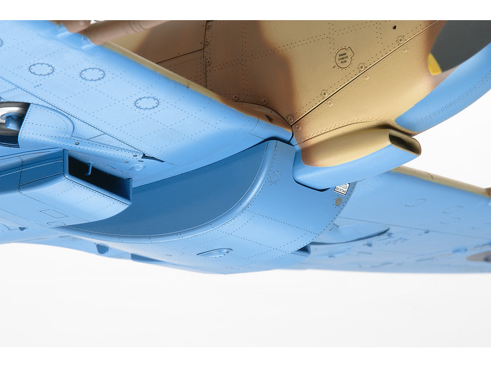 4950344603206-5.jpg