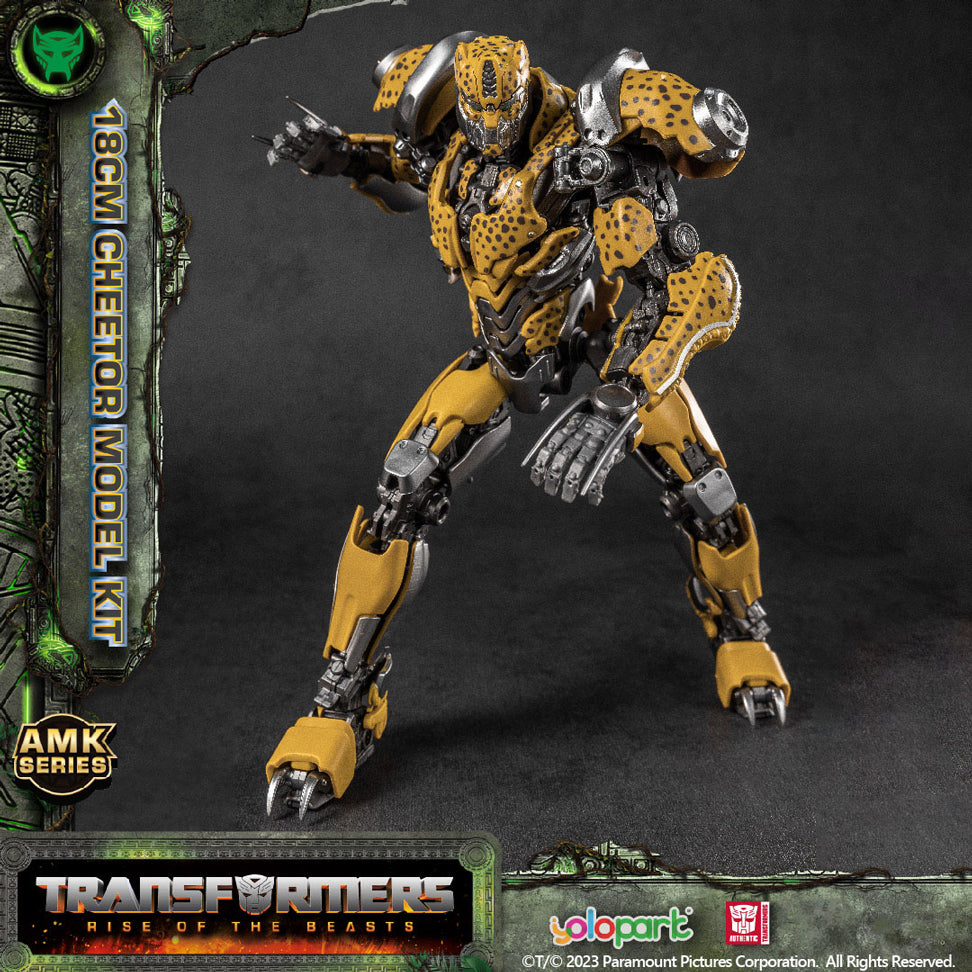 4975406501955-7.jpg