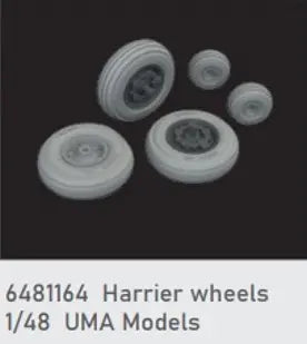 8591437607297