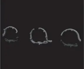 8591437613854